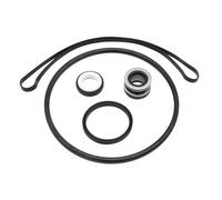 Juego De Repuesto Sello Bombas Piscina SPX1600Z2 Con Cubierta Filtro Juntas Tóricas Difusoras Conjunto Sello Acero Inoxidable