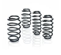 Resorte de suspensión Pro-Kit EIBACH E10-15-007-06-22