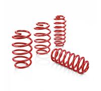 EIBACH Kit de suspensión, muelles para AUDI: A4 & SEAT: Exeo (Ref: E20-15-003-04-22)