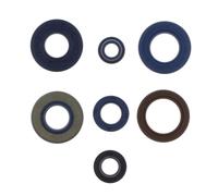 Juego de retenes de aceite de motor ATHENA P400130400204/1