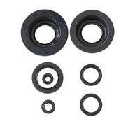 Juego de retenes de aceite de motor ATHENA P400210400199