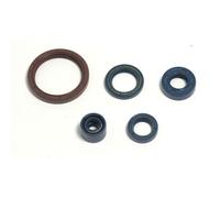 Juego de retenes de aceite de motor ATHENA P400220400255