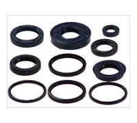 Juego de retenes de aceite de motor ATHENA P400485400002