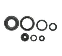 Juego de retenes de aceite de motor ATHENA P400485400253