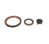ELRING 484.270 Kit de retenes, motor