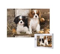 Juego de Rompecabezas para Adultos, Rompecabezas desafiantes, Rompecabezas de 1000 Piezas, Cachorros pequeños de Cavalier King Charles Spaniel