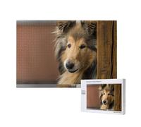 Juego de Rompecabezas para Adultos, Rompecabezas desafiantes, Rompecabezas de 1000 Piezas, Perros Collie Lassie de Pelo Largo, Perros Grandes y Peludos, Mascotas