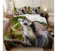 Juego De Ropa De Cama 180 cm PatróN Animal de LéMur de Cola Anillada Funda De Edredón Microfibra Suave MarróN Cremallera Funda Nórdica Y Funda De Almohada, para Familias Y Adulto 260x240 cm