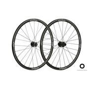 Juego de ruedas TEAM30 AGX I23 DISCO CENTERLOCK CUBIERTA TUBELESS READY compatib