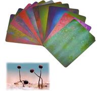 Juego de tarjetas de fondo de calibre para fotografía macro, 12 tarjetas de fotografía de fondo borroso, reutilizables, para flores, insectos, alimentos, joyas