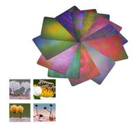 Juego de tarjetas de fondo para fotografía macro HD, juego de fondos de estudio premium para fotografía de primer plano y de productos, naturaleza, urbano, temas abstractos, 12 piezas, 21 x 15 cm