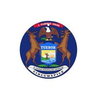 Juego de tarjetas de fragancia redondas de la bandera del estado de Michigan, ambientador colgante de lavanda para decoración del hogar del coche, 10 o 24 piezas