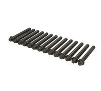 Juego de tornillos de culata AJUSA 81029600