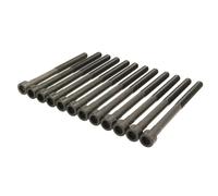 Juego de tornillos de culata AJUSA 81043400