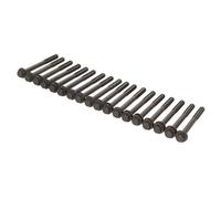 Juego de tornillos de culata AMC 258506