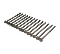 Juego de tornillos de culata ELRING 233.380