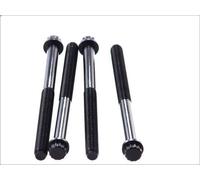 Juego de tornillos de culata ELRING 258.610 para AXOR 11.967 2002-2004