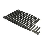 Juego de tornillos de culata ELRING 459.450