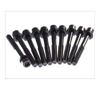 Juego de tornillos de culata ELRING 803.010