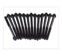 Juego de tornillos de la culata Torx exterior 820.229 ELRING para BMW BERTONE