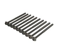 Juego de tornillos de culata REINZ 14-10013-01