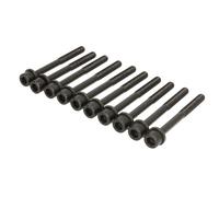 Juego de tornillos de culata REINZ 14-10015-01