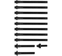 Juego de tornillos de culata REINZ 14-10026-01