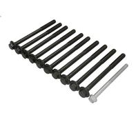 Juego de tornillos de culata REINZ 14-10030-01 para GIULIA (952_) 2 2016-2022
