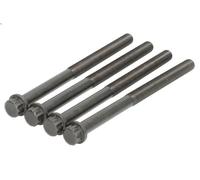 Juego de tornillos de culata REINZ 14-32069-01 para AXOR 11.967 2002-2004