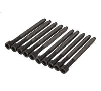 Juego de tornillos de culata REINZ 14-32276-01 AUDI A3 (8P1) 2 2004-2012