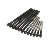 Juego de tornillos de culata REINZ 14-32314-01