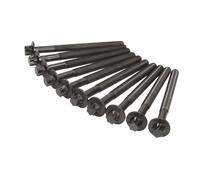 Juego de tornillos de culata REINZ 14-32343-01