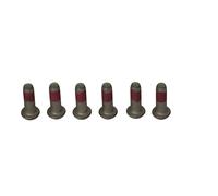 Juego de tornillos de disco de freno plata acero inoxidable Trw BMW R 850-110...