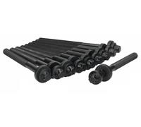 AJUSA 81018400 Juego de tornillos de culata