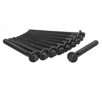 Juego de tornillos de la culata 81025700 AJUSA para RENAULT OPEL NISSAN