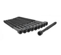 Ajusa Juego de tornillos de culata 81038000 para Audi, VW, SEAT, Skoda