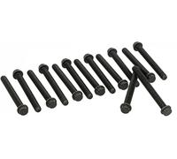 Juego de tornillos de la culata dentado exterior 060.190 ELRING para SETRA
