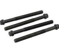 Juego de tornillos de la culata dentado exterior 060.220 ELRING para SETRA