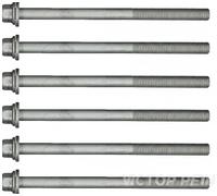 Juego de tornillos de culata REINZ 14-17783-01