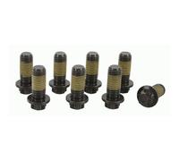 Juego de tornillos, volante SACHS 1874 000 072