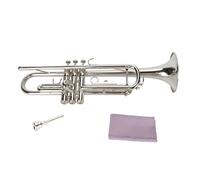 Juego de Trompeta Bb, Instrumento de Viento de Trompeta Baja Niquelado con Boquilla para Estudiantes Principiantes (SILVER)