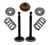 Juego de válvula de escape de admisión de correa de distribución de árbol de levas para motor de cortacésped Honda GX35 GX 35