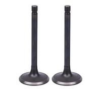 Juego de válvulas de admisión y escape for motocicletas XV125 (1988-2007), Virago XVS250 Drag Star (2000-2017), YFA-1, YFM80, SRV250.(1x intake 1x exhaust)