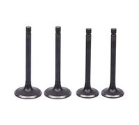 Juego de válvulas de admisión y escape for motocicletas XV250, Virago, V Star 250, Route 66, QJ250-HL, XC125, XV125 (1988-2017) y XV 250.(2x intake 2x exhaust)