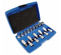 Juego de vasos Torx E-Torx 1/2", 19 piezas. Llaves de vaso plateadas.