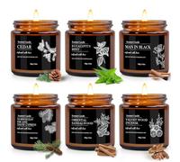 Juego de Velas Perfumadas Para Regalo Para Hombres, Velas Perfumadas en Vidrio, 6 Piezas de Velas Perfumadas con Tapa, Velas PortáTiles en Lata, Regalos Para Hombres