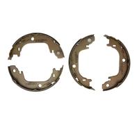Delphi Juego de zapatas de freno de mano LS2122 para Toyota Prius, Mirai, Prius Plus 1.8 2011-