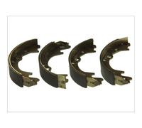 Juego de zapatas de frenos ABE C00517ABE
