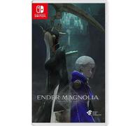 Nintendo Ender Magnolia NS