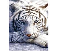 Juego pintura de diamantes cuadrados tigre 40x50cm piedras cuadradas para manualidades cuadros de diamantes de animales adultos mosaico perlas de punto de cruz para salón dormitorio oficina decor